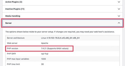 Server PHP Version